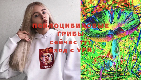 спайс Абинск