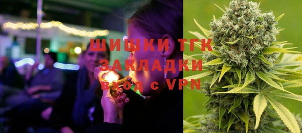 шишки Алзамай