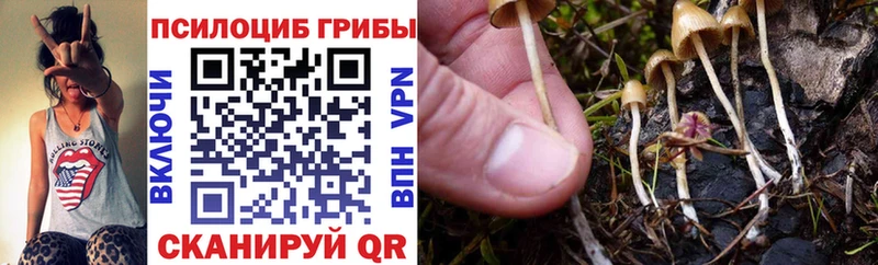 Псилоцибиновые грибы мухоморы  Сольцы 