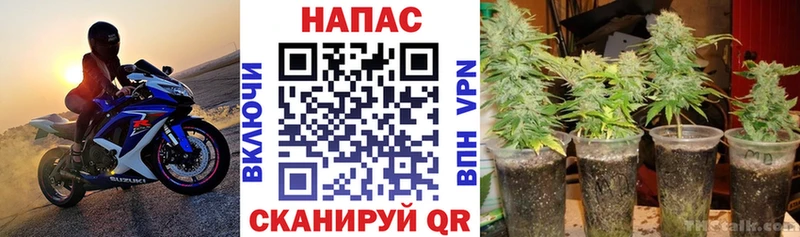 omg tor  Сольцы  Каннабис семена 